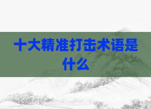 十大精准打击术语是什么