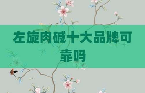 左旋肉碱十大品牌可靠吗