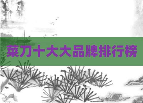 菜刀十大大品牌排行榜