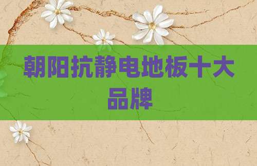 朝阳抗静电地板十大品牌