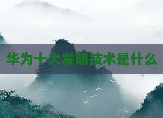 华为十大发明技术是什么