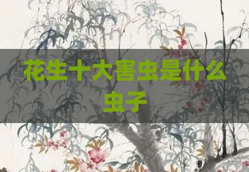花生十大害虫是什么虫子
