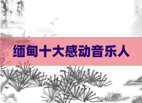 缅甸十大感动音乐人