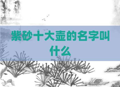 紫砂十大壶的名字叫什么