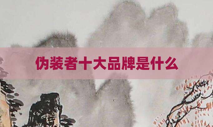 伪装者十大品牌是什么