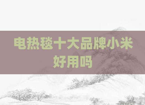 电热毯十大品牌小米好用吗