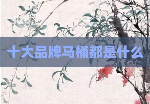 十大品牌马桶都是什么