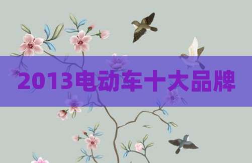 2013电动车十大品牌