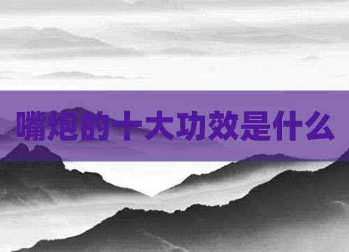嘴炮的十大功效是什么
