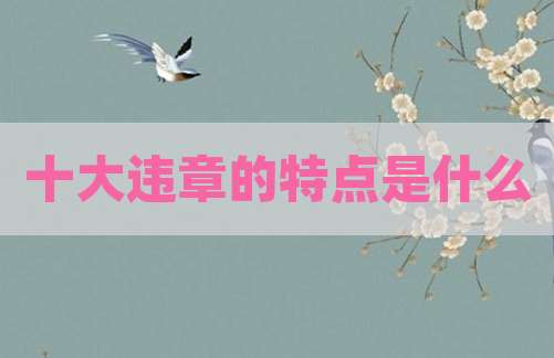 十大违章的特点是什么