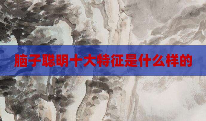 脑子聪明十大特征是什么样的