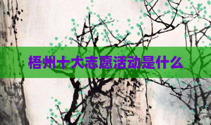 梧州十大志愿活动是什么
