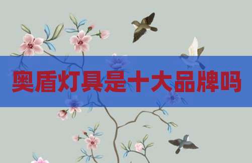 奥盾灯具是十大品牌吗