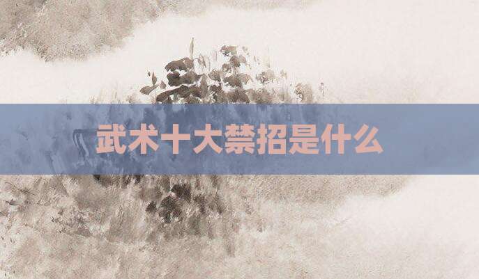 武术十大禁招是什么