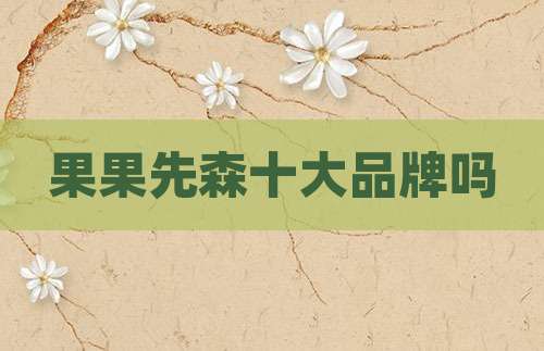 果果先森十大品牌吗