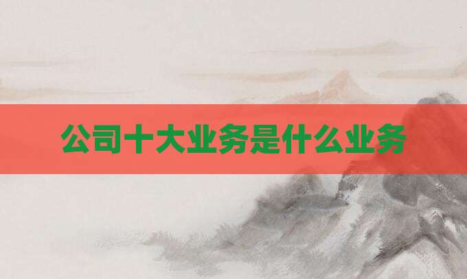 公司十大业务是什么业务