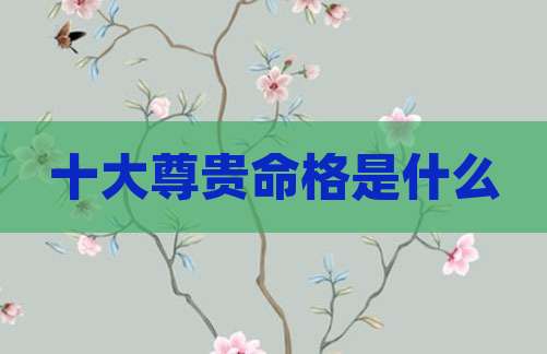 十大尊贵命格是什么