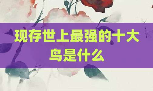 现存世上最强的十大鸟是什么