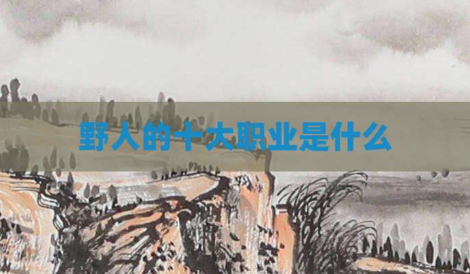 野人的十大职业是什么