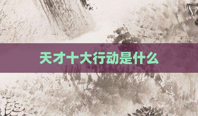 天才十大行动是什么