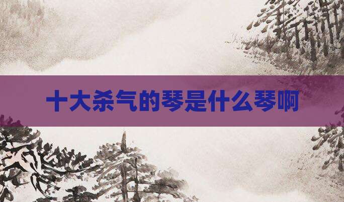 十大杀气的琴是什么琴啊