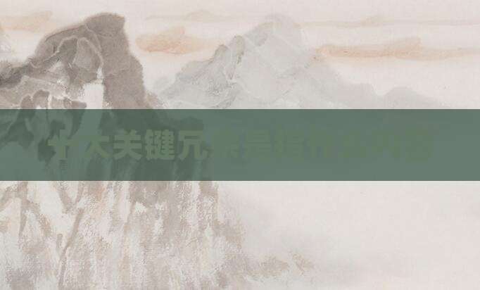 十大关键冗余是指什么内容