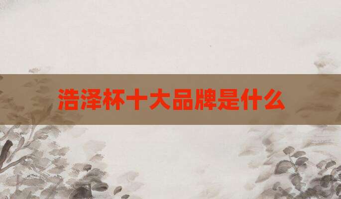 浩泽杯十大品牌是什么