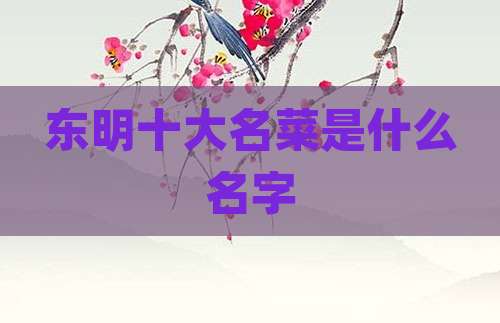 东明十大名菜是什么名字