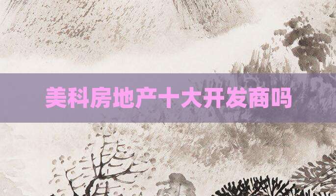 美科房地产十大开发商吗