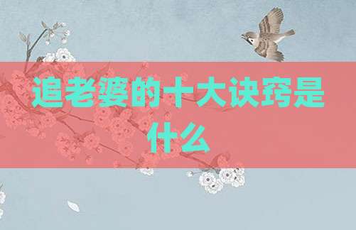 追老婆的十大诀窍是什么