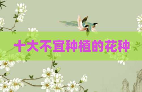 十大不宜种植的花种