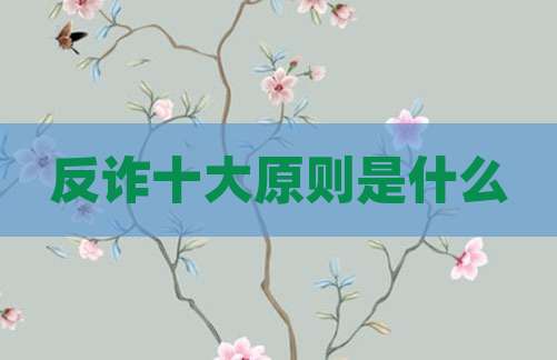 反诈十大原则是什么