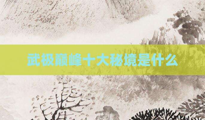 武极巅峰十大秘境是什么