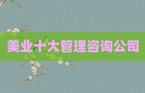 美业十大管理咨询公司