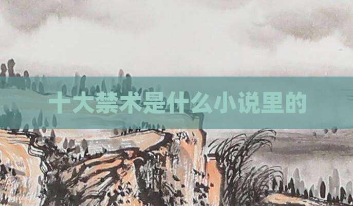 十大禁术是什么小说里的