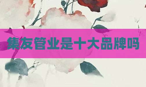集友管业是十大品牌吗