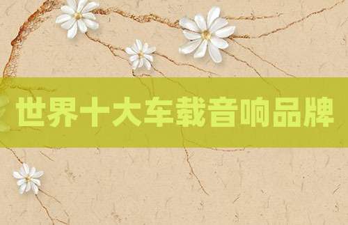 世界十大车载音响品牌