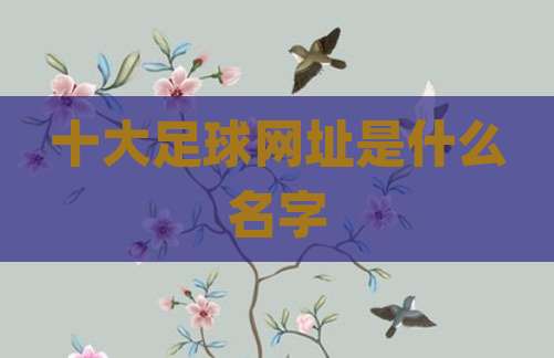 十大足球网址是什么名字