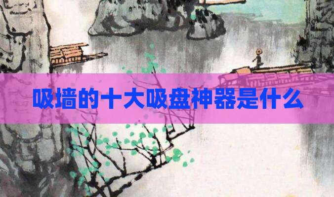吸墙的十大吸盘神器是什么