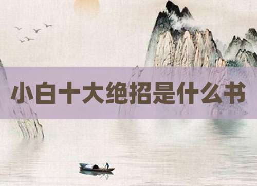 小白十大绝招是什么书