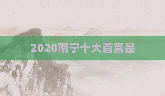 2020南宁十大首富是