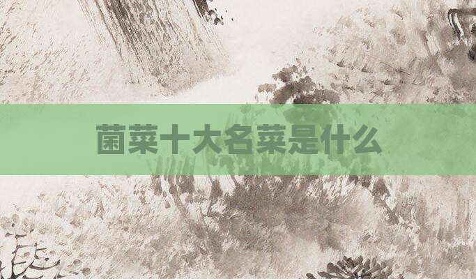 菌菜十大名菜是什么