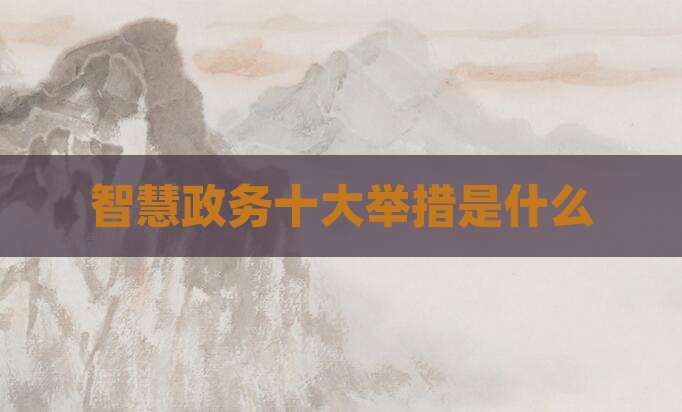 智慧政务十大举措是什么