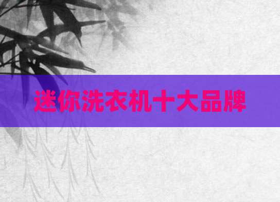 迷你洗衣机十大品牌