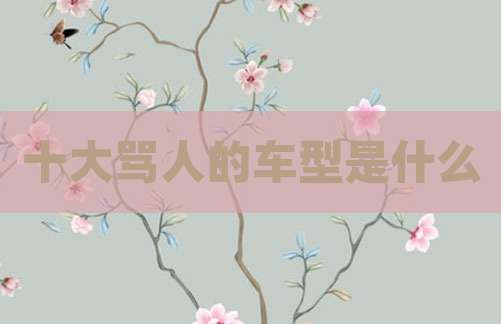 十大骂人的车型是什么