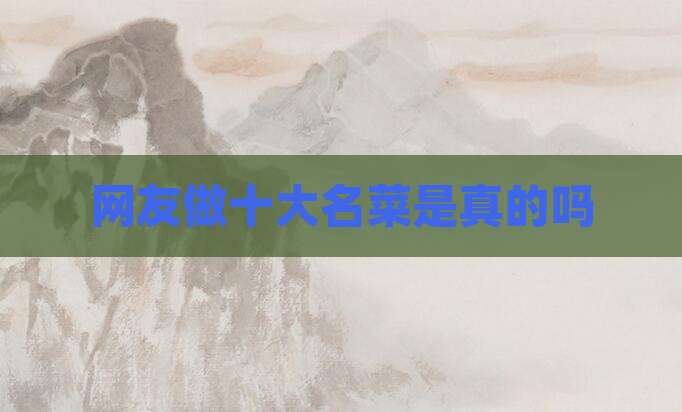 网友做十大名菜是真的吗