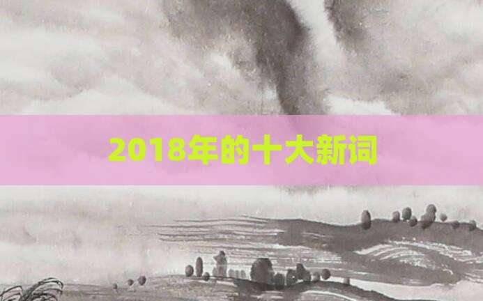 2018年的十大新词