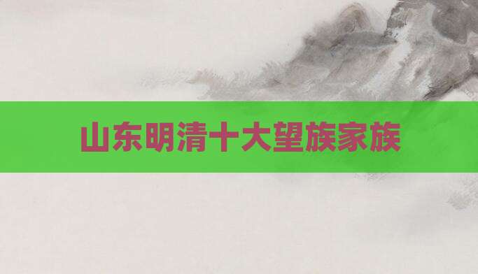 山东明清十大望族家族