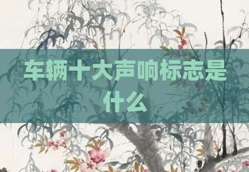 车辆十大声响标志是什么