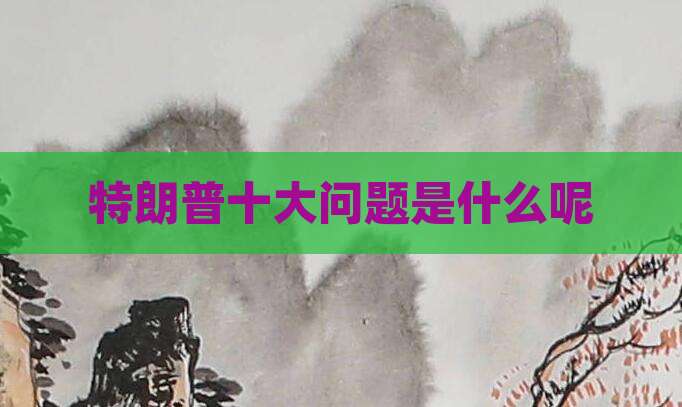 特朗普十大问题是什么呢